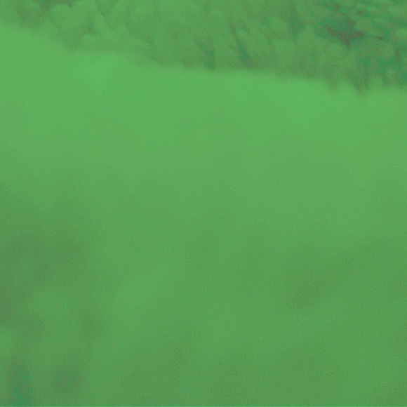 Meet your Posher, Shayla - Picture 1 of 1